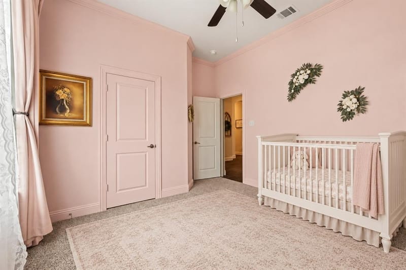 3520 Tunnel Avenue, Aubrey TX 76227 - Photo 3