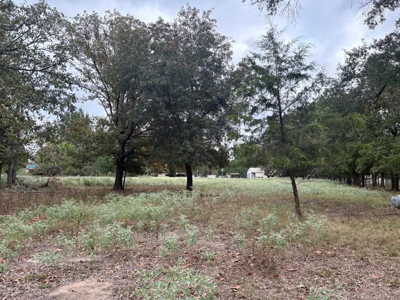 1150 County Road 43900 # 43900, Paris TX 75462 - Photo 6