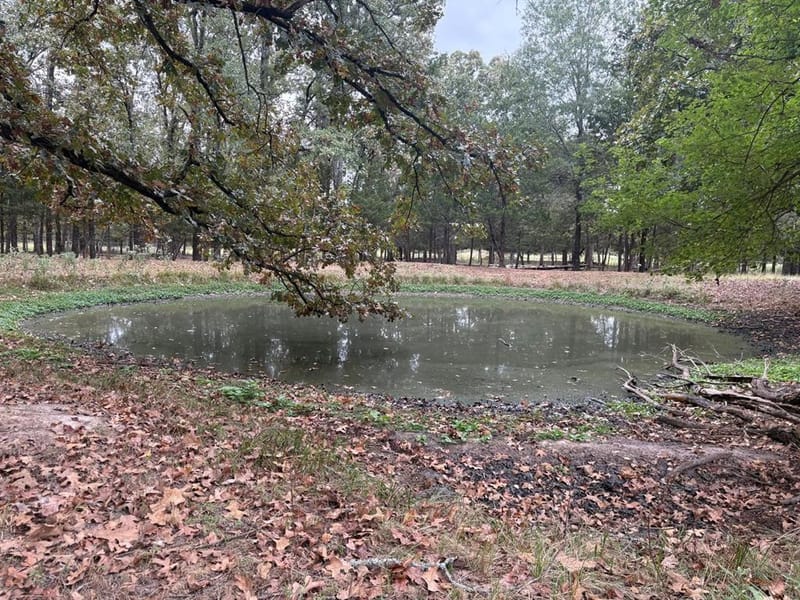 1150 County Road 43900 # 43900, Paris TX 75462 - Photo 5