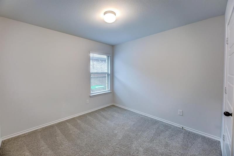 11436 Alpine Springs Drive, Aubrey TX 76227 - Photo 20