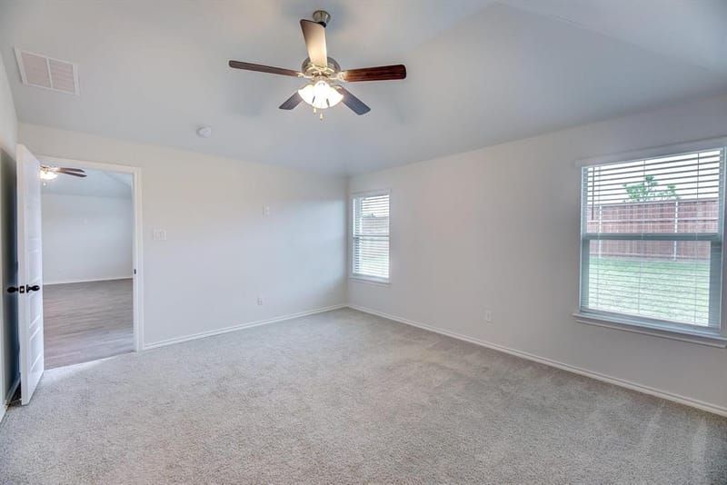 11436 Alpine Springs Drive, Aubrey TX 76227 - Photo 14