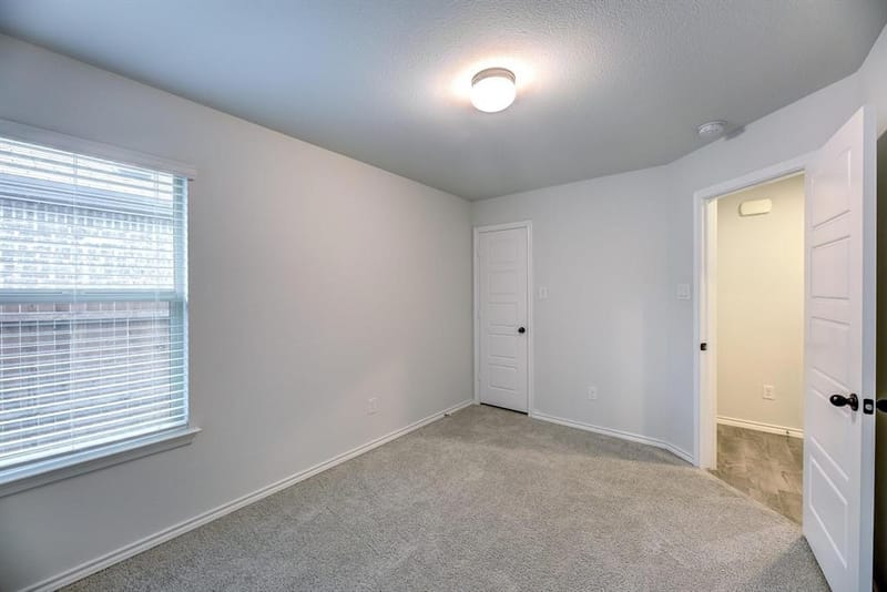 11436 Alpine Springs Drive, Aubrey TX 76227 - Photo 18