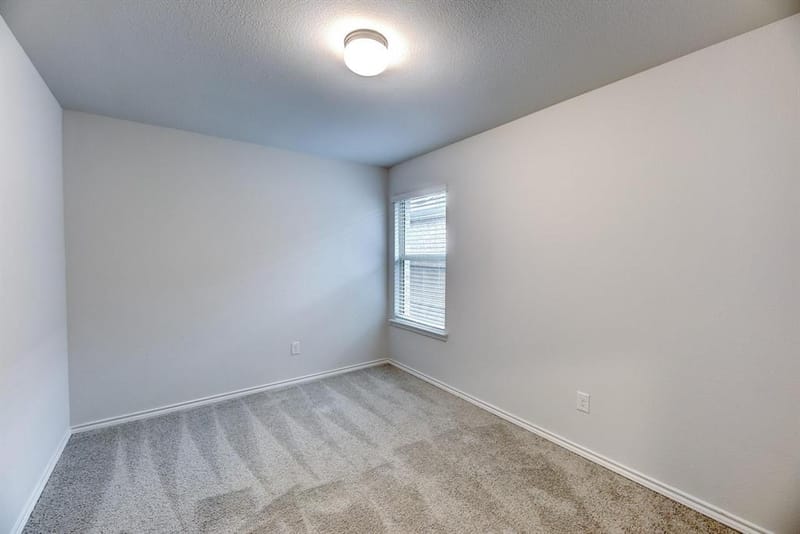 11436 Alpine Springs Drive, Aubrey TX 76227 - Photo 21