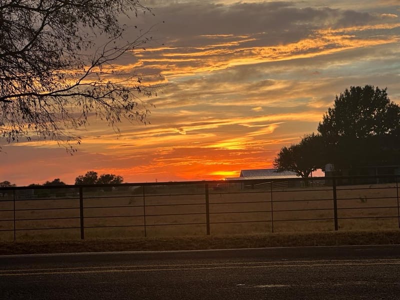 13800 Fm 1384, Justin TX 76247 - Photo 39