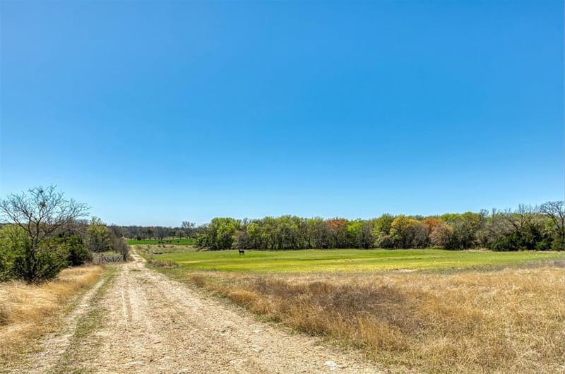 1208 Private Road 1399, Dublin TX 76446 - Photo 7