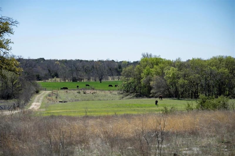 1208 Private Road 1399, Dublin TX 76446 - Photo 34