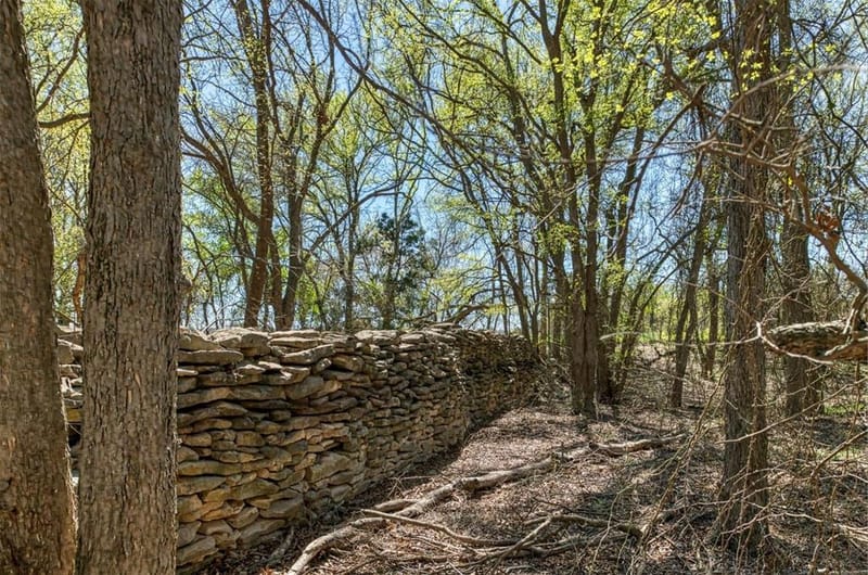 1208 Private Road 1399, Dublin TX 76446 - Photo 35