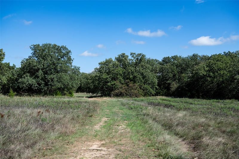2483 Fruitland Road, Sunset TX 76270 - Photo 19