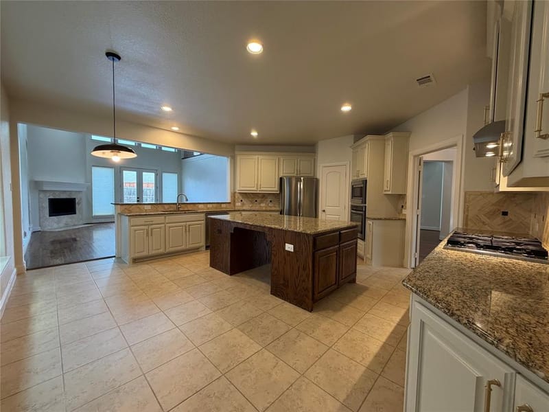 4409 Elmgreen Drive, Fort Worth TX 76262 - Photo 11