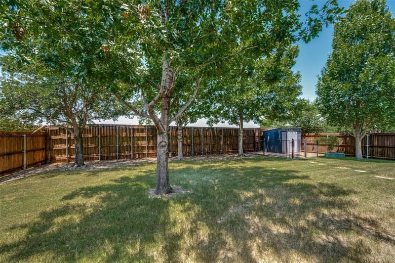 1441 Kirkwood Lane, Prosper TX 75078 - Photo 27