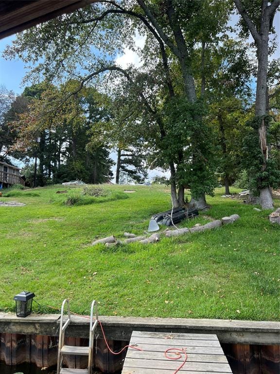 3723 County Road 4806, Athens TX 75752 - Photo 2