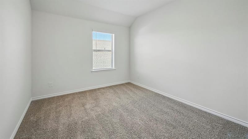 4721 Silver Chute Avenue, Aubrey TX 76227 - Photo 19