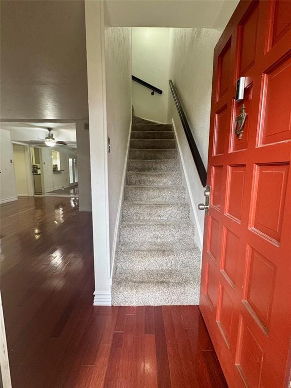 2805 Rio Branco Street # 105G, Farmers Branch TX 75234 - Photo 7