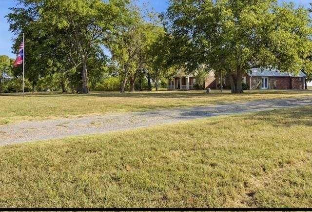 3686 Fm 100, Honey Grove TX 75446 - Photo 29