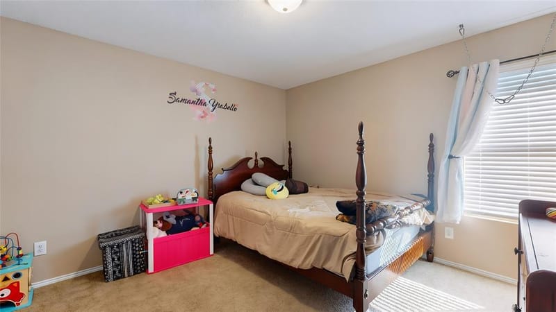 2501 Ash Drive, Little Elm TX 75068 - Photo 23