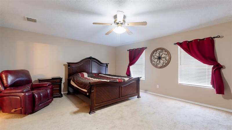 2501 Ash Drive, Little Elm TX 75068 - Photo 15