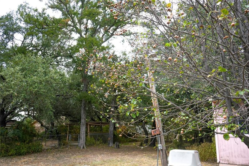 109 Mitsy Lane, Early TX 76802 - Photo 11