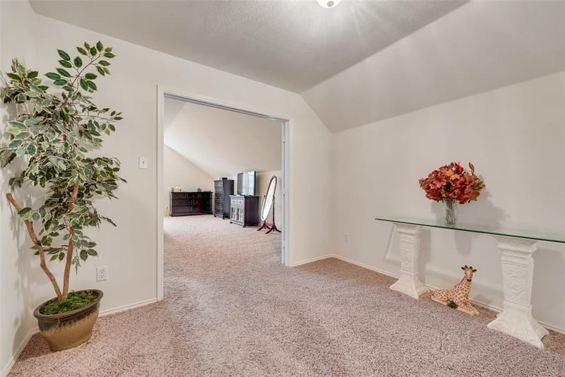 148 Oakbluff Drive, Murphy TX 75094 - Photo 29