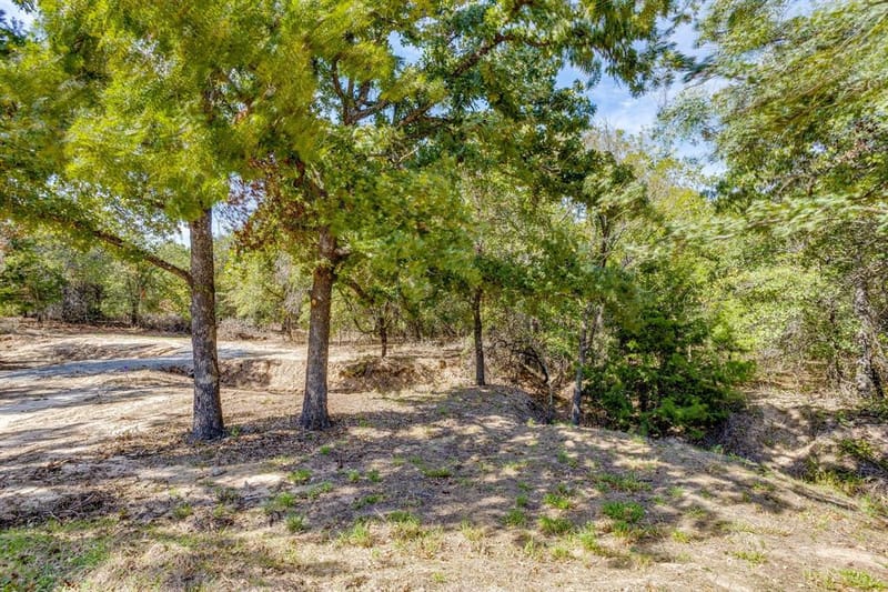 253 Zebrastone Way, Poolville TX 76487 - Photo 35