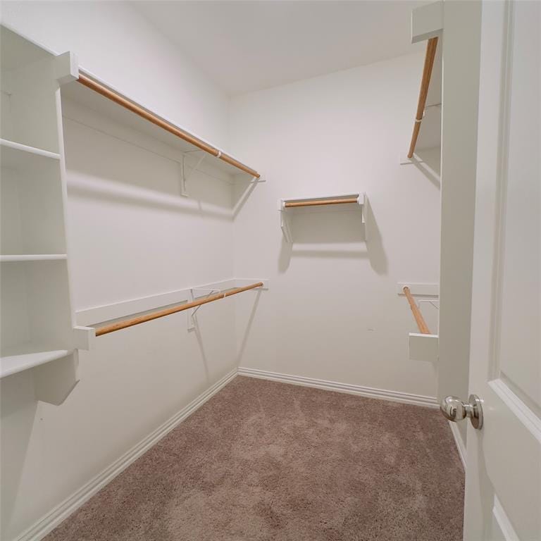 2513 Real Quiet Drive, Forney TX 75126 - Photo 13