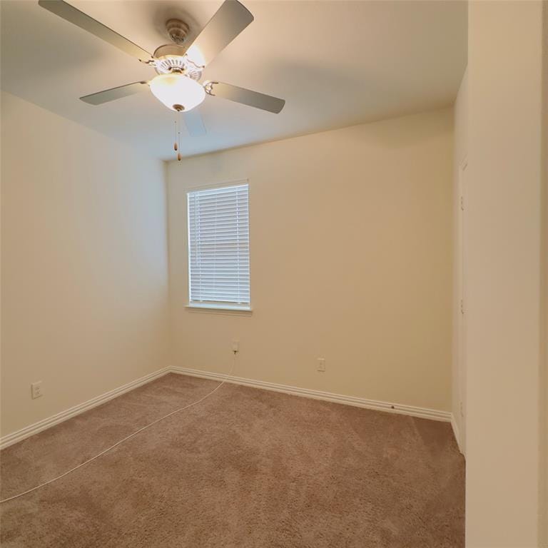 2513 Real Quiet Drive, Forney TX 75126 - Photo 14