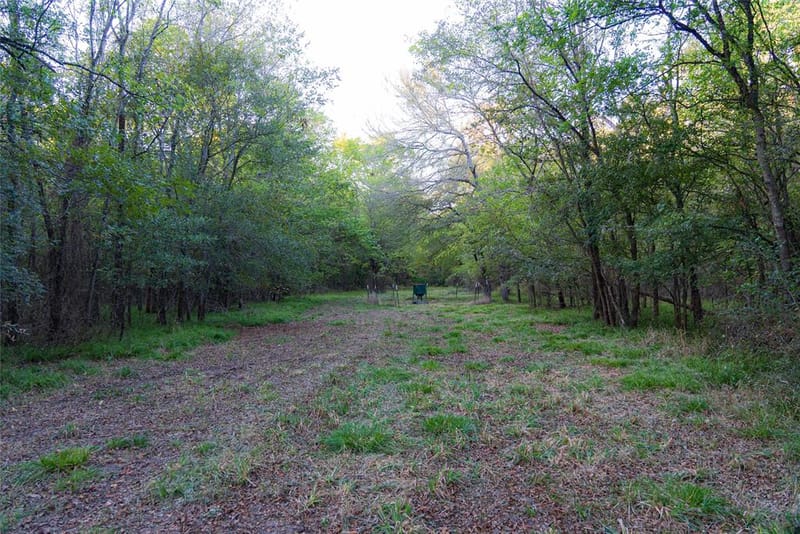 902 Vz County Road 3710, Edgewood TX 75117 - Photo 27