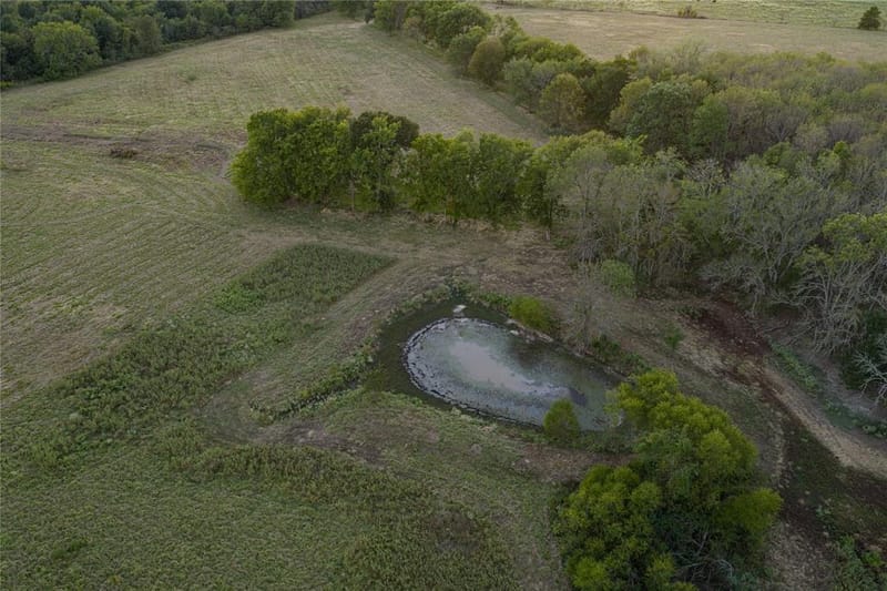 902 Vz County Road 3710, Edgewood TX 75117 - Photo 6