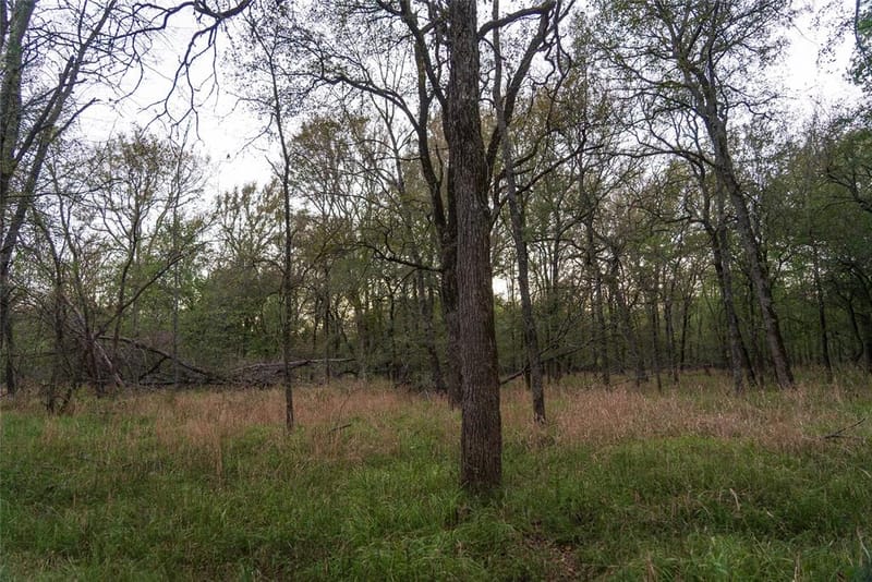 902 Vz County Road 3710, Edgewood TX 75117 - Photo 36