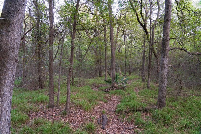 902 Vz County Road 3710, Edgewood TX 75117 - Photo 32
