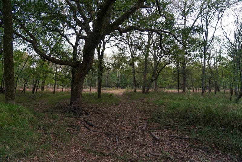 902 Vz County Road 3710, Edgewood TX 75117 - Photo 28