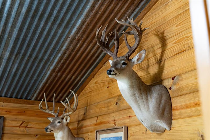 902 Vz County Road 3710, Edgewood TX 75117 - Photo 24
