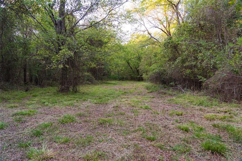 902 Vz County Road 3710, Edgewood TX 75117 - Photo 30