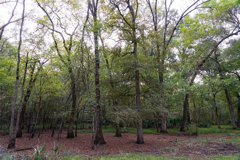 902 Vz County Road 3710, Edgewood TX 75117 - Photo 34