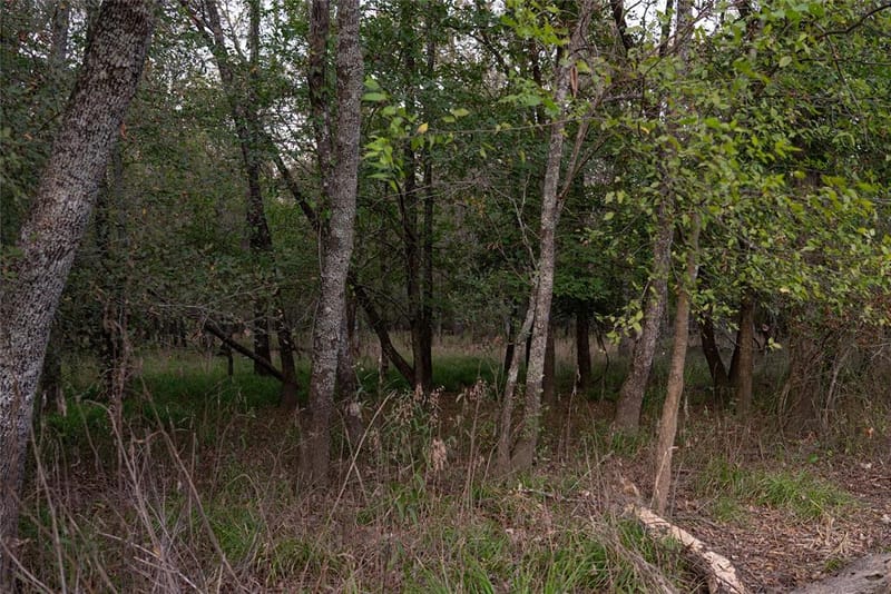 902 Vz County Road 3710, Edgewood TX 75117 - Photo 38