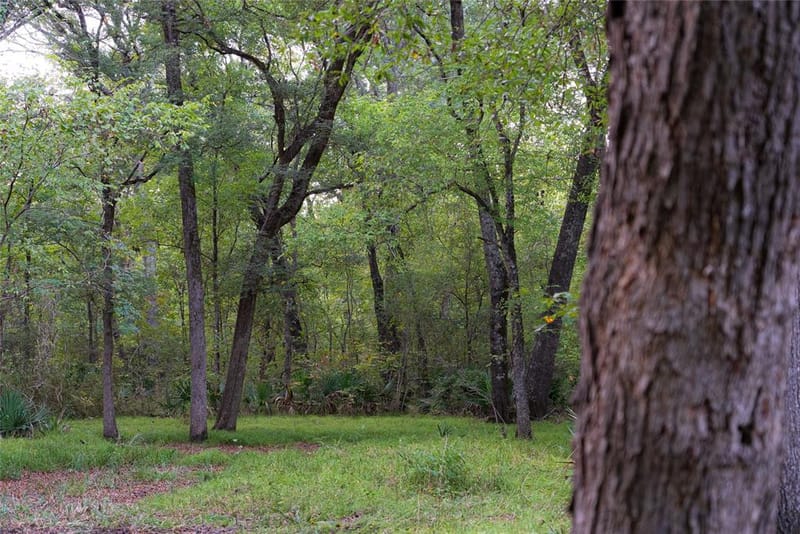902 Vz County Road 3710, Edgewood TX 75117 - Photo 33