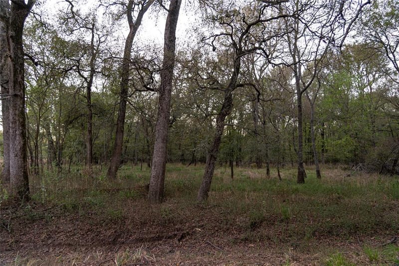 902 Vz County Road 3710, Edgewood TX 75117 - Photo 37