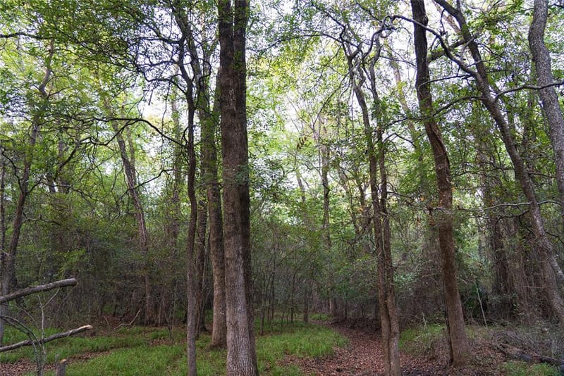 902 Vz County Road 3710, Edgewood TX 75117 - Photo 31