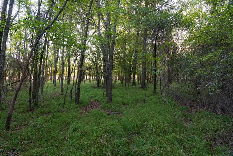 902 Vz County Road 3710, Edgewood TX 75117 - Photo 29