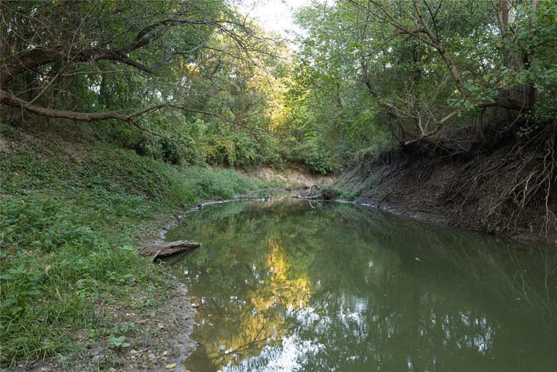902 Vz County Road 3710, Edgewood TX 75117 - Photo 8
