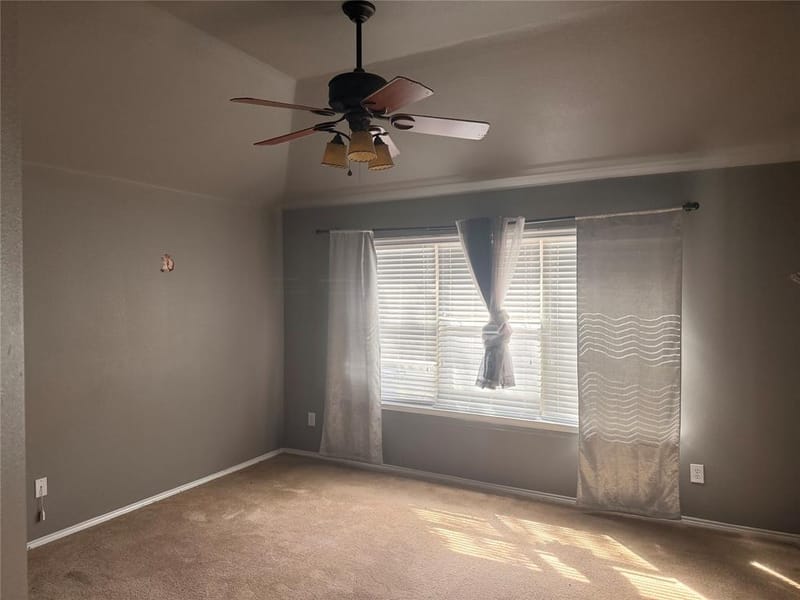 705 Bamboo Drive, Anna TX 75409 - Photo 9