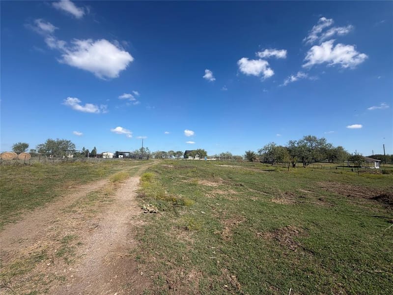 County Road 1030 E, Rice TX 75155 - Photo 6