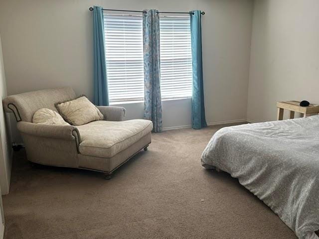 8505 Star Thistle Drive, Fort Worth TX 76179 - Photo 17