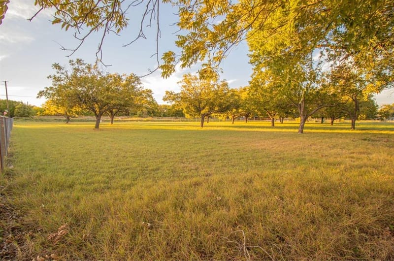317 Shady Brook Lane, Cedar Hill TX 75104 - Photo 3