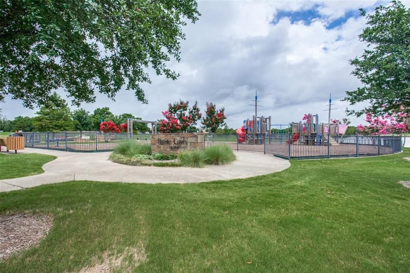 3007 Buckthorn Street, Heartland TX 75126 - Photo 17