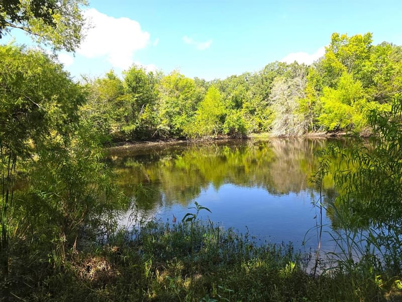 982 Lcr 131, Mount Calm TX 76673 - Photo 6
