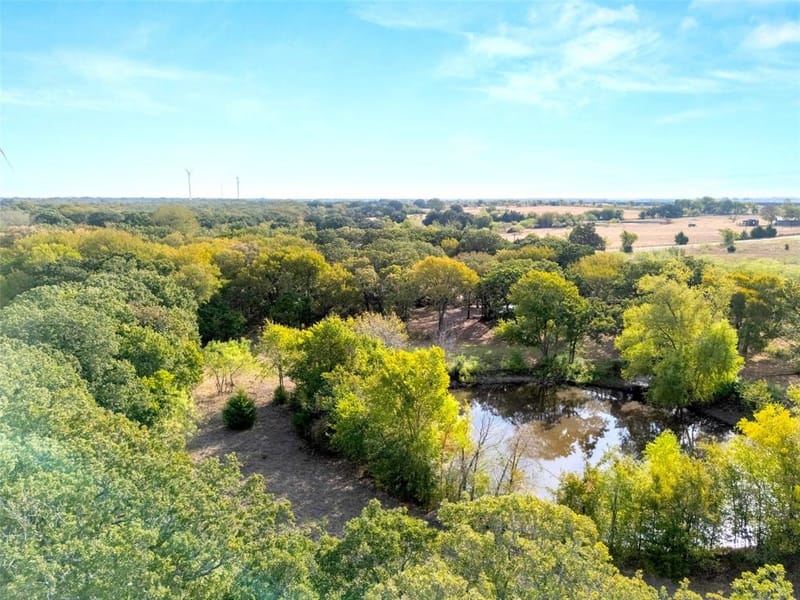 982 Lcr 131, Mount Calm TX 76673 - Photo 13