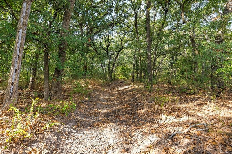 982 Lcr 131, Mount Calm TX 76673 - Photo 12