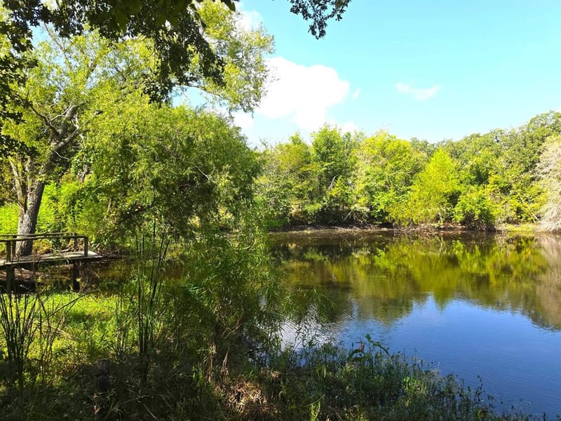 982 Lcr 131, Mount Calm TX 76673