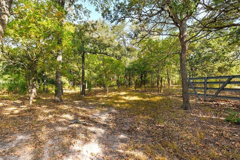 982 Lcr 131, Mount Calm TX 76673 - Photo 10