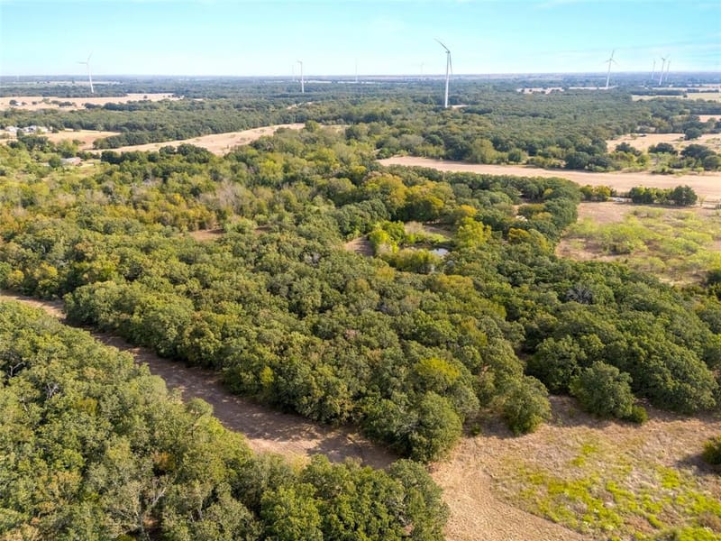 982 Lcr 131, Mount Calm TX 76673 - Photo 33